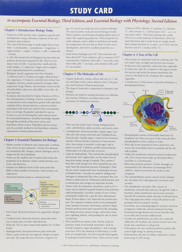 Study Card: To Accompany Essential Biology 3/E & Essential Biology W/Physiology 2/E