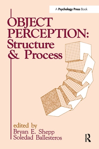 Object Perception Structure and Process