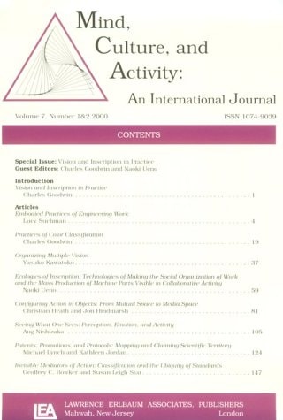 Vision and Inscription in Practice A Special Double Issue of Mind, Culture and Activity