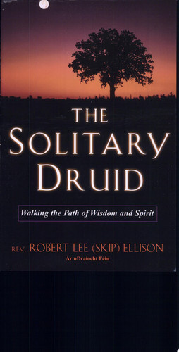 The Solitary Druid Walking The Path Of Wisdom And Spirit