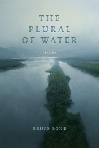 The Plural of Water Poems