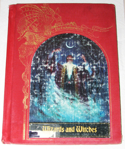 Wizards and Witches (Enchanted World Series)