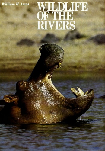 Wildlife of the Rivers