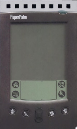 Paper Palm