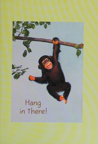 Hang in There! Inspirational Art of the 1970s