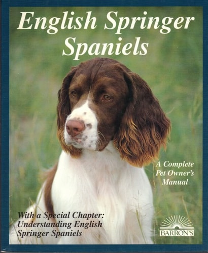 English Springer Spaniels