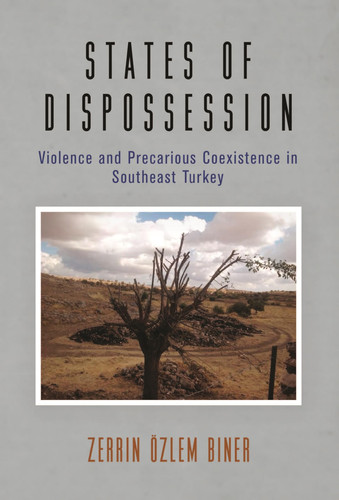 States of Dispossession: Violence and Precarious Coexistence in Southeast Turkey (The Ethnography of Political Violence)