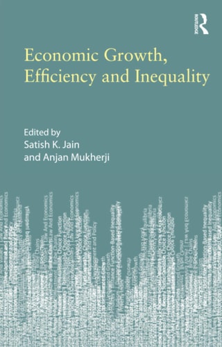 Economic Growth, Efficiency and Inequality