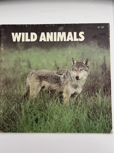 Wild Animals