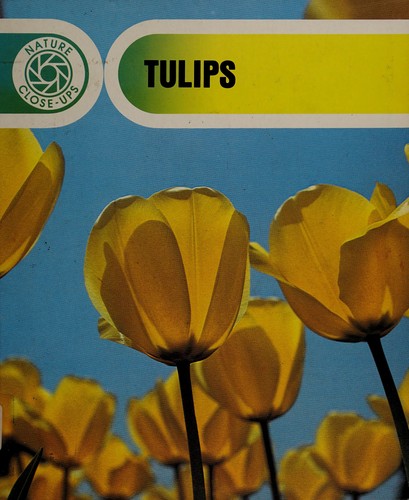 Tulips (Nature Close-Ups (Blackbirch Software))