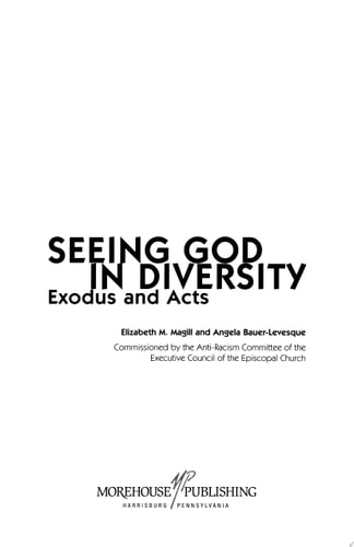 Seeing God in Diversity Exodus and Acts