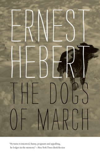 Dogs of March The Darby Chronicles #1