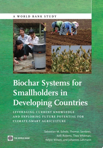 Biochar Systems for Smallholders in Developing Countries Leveraging Current Knowledge and Exploring Future Potential for Climate-Smart Agriculture