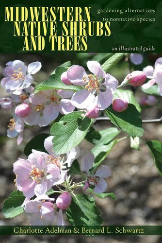 Midwestern Native Shrubs and Trees Gardening Alternatives to Nonnative Species : an Illustrated Guide