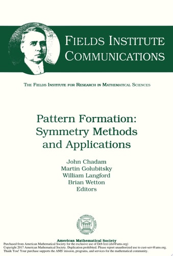 Pattern Formation: Symmetry Methods and Applications Symmetry Methods and Applications