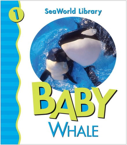 Baby Killer Whale San Diego Zoo