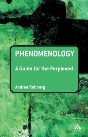 Phenomenology: A Guide for the Perplexed