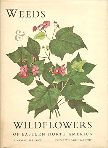 Weeds & wildflowers of Eastern North America