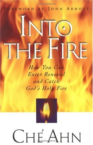 Into the Fire How You Can Enter Renewal and Catch God's Holy Fire