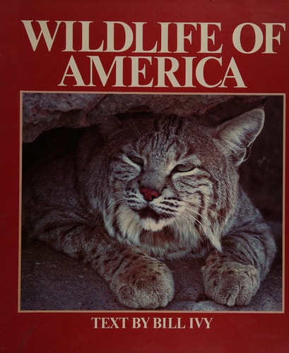 Wildlife of America