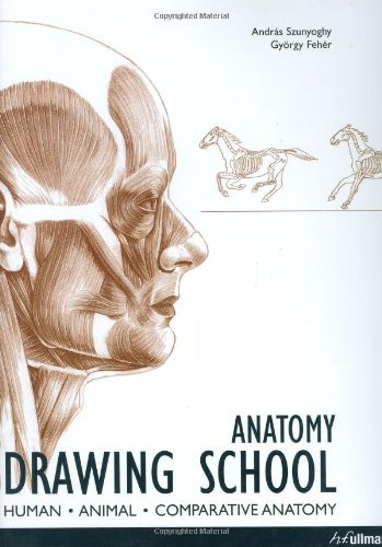 Anatomy Drawing School Human, Animal, Comparative Anatomy