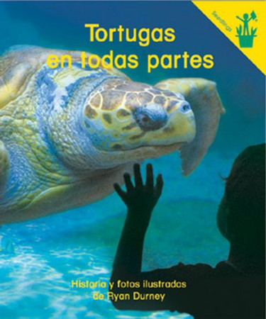Tortugas en Todas Partes