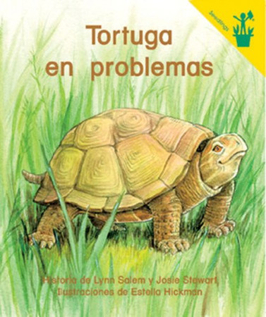 Tortuga en Problemas