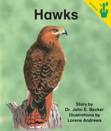 Hawks