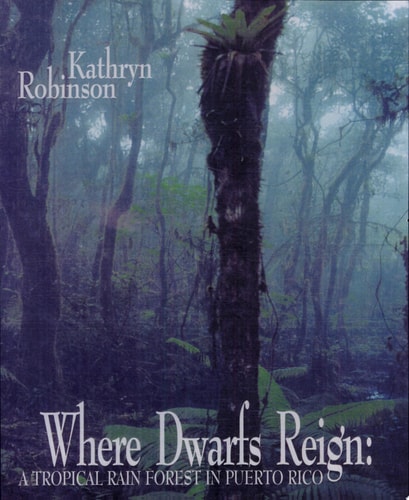 Where Dwarfs Reign A Tropical Rain Forest in Puerto Rico