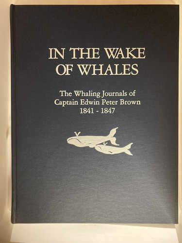In the Wake of Whales