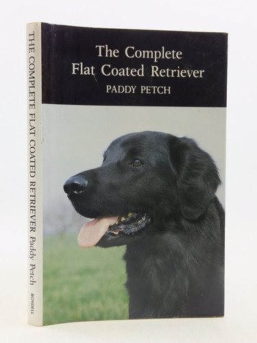 Flat Coated Retriever