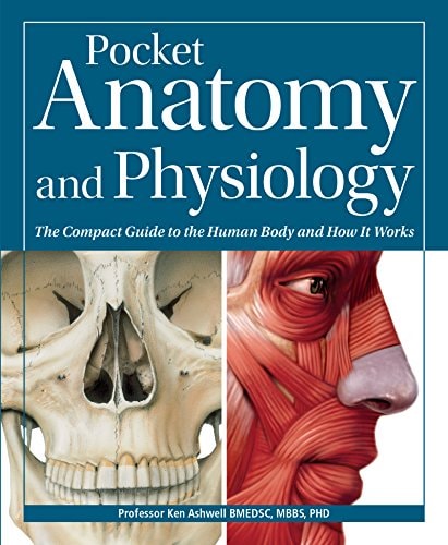 Pocket Anatomy and Physiology