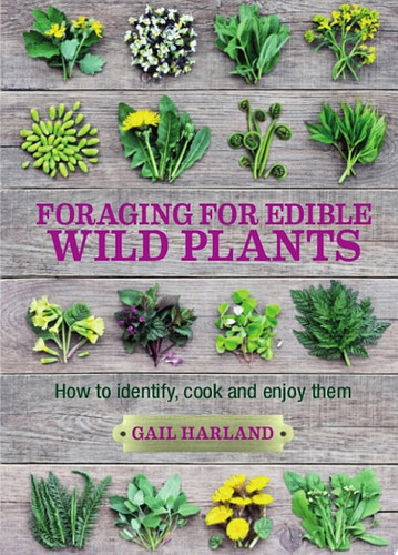 Foraging for Edible Wild Plants How to identify, cook and enjoy them