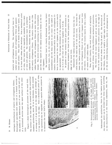 Dynamic Aspects of Speech Production: Current Results, Emerging Problems and New Instrumentation