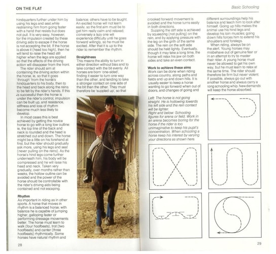 A Young Rider's Guide to Horse and Pony Care