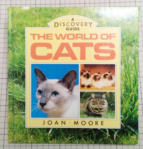 The World of Cats