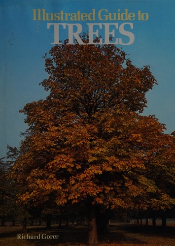 Illustrated Guide to Trees
