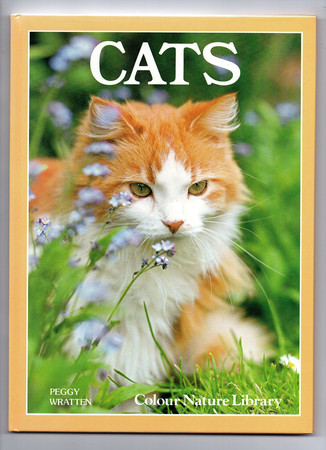 Cats