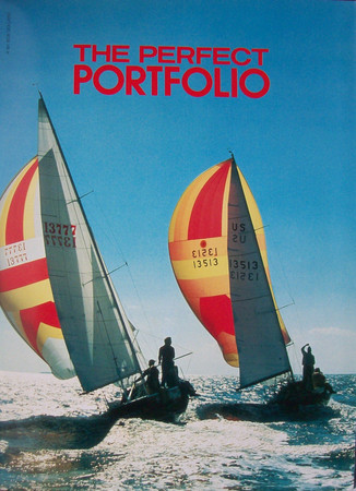 Perfect Portfolio