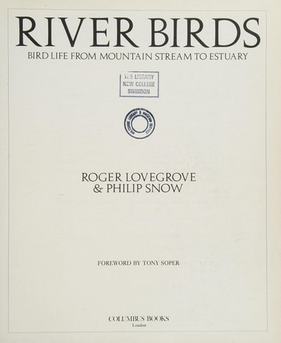 River Birds Bird Life from Mountain Stream to Estuary