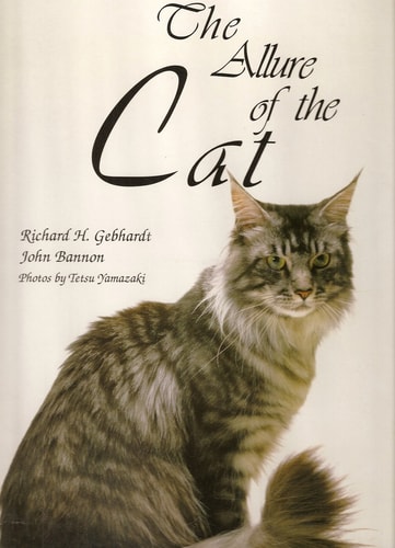 Allure of the Cat