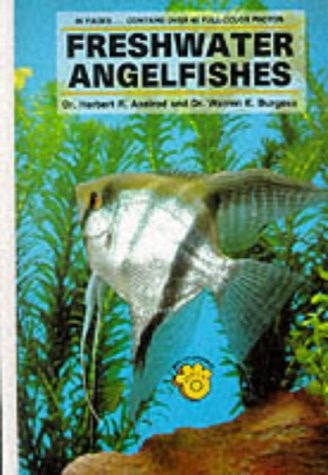 Freshwater Angelfishes