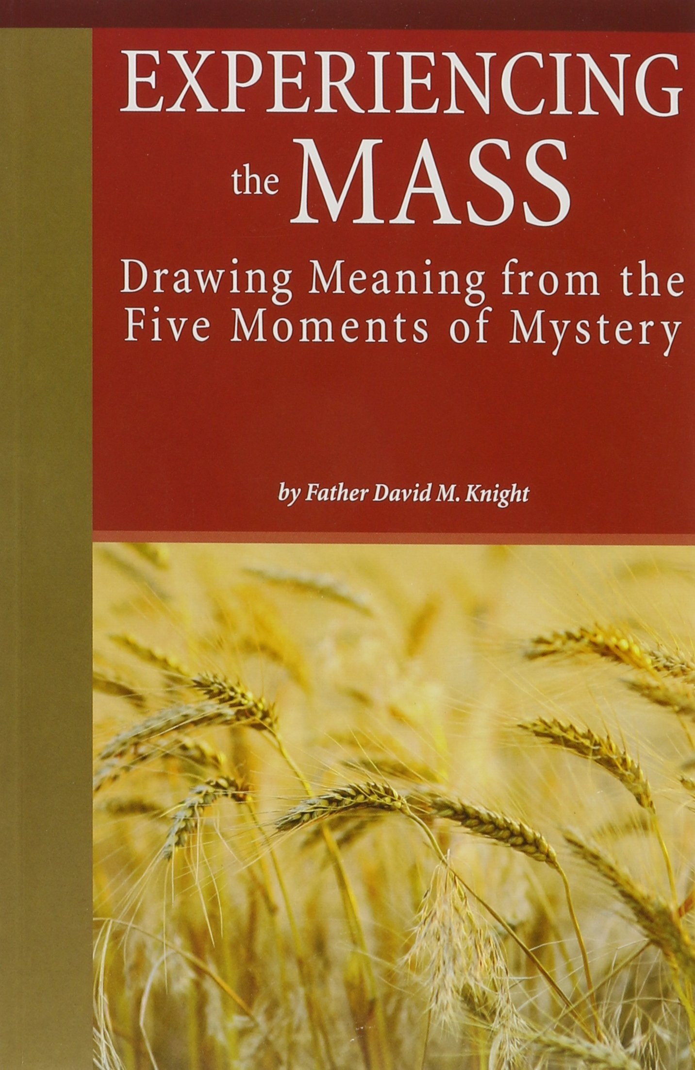 Immersed in Christ: Lent 2011 : Enhancing Discipleship Through the Liturgy of the Word