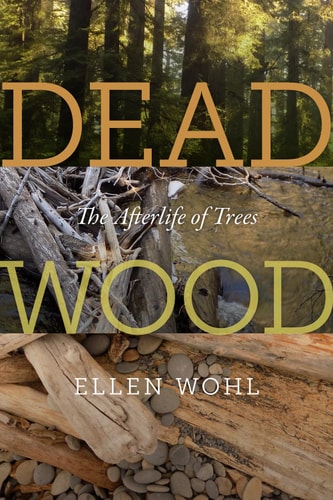Dead Wood The Afterlife of Trees