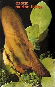 Exotic Marine Fishes