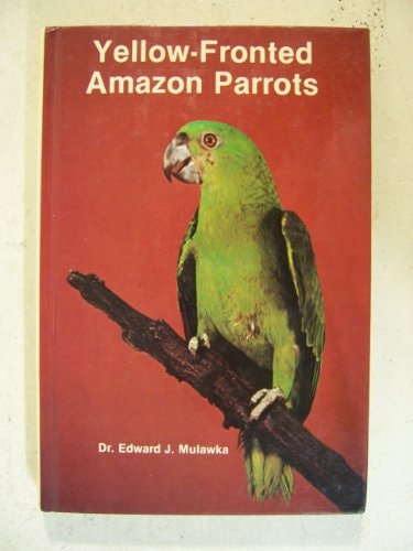 Yellow-Fronted Amazon Parrots