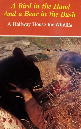 A Bird in the Hand and a Bear in the Bush Halfway House for Wildlife