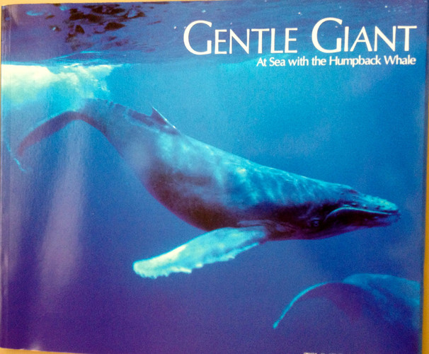 Gentle Giant: At Sea With the Humpback Whale