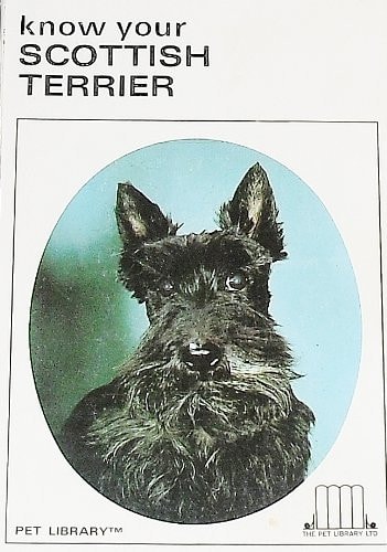 KNOW YOUR SCOTTISH TERRIER