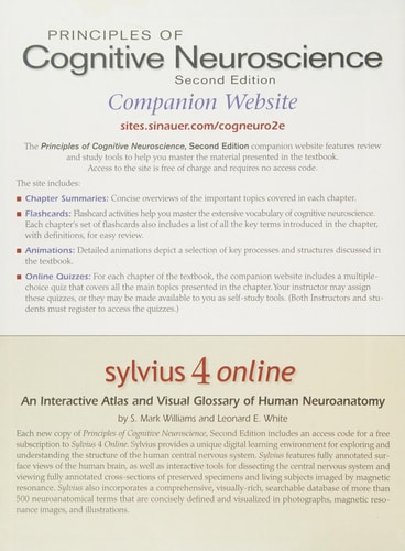 Principles of Cognitive Neuroscience